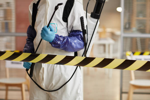 Professional Sewage Cleanup technician working in Waterville Valley, NH
